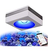 Amazon.co.jp: PopBloom RL90 WiFi 水槽ライト 100watts スマートAPP